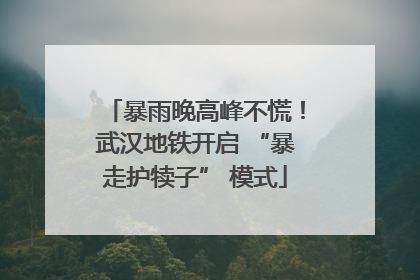 暴雨晚高峰不慌！武汉地铁开启 “暴走护犊子” 模式